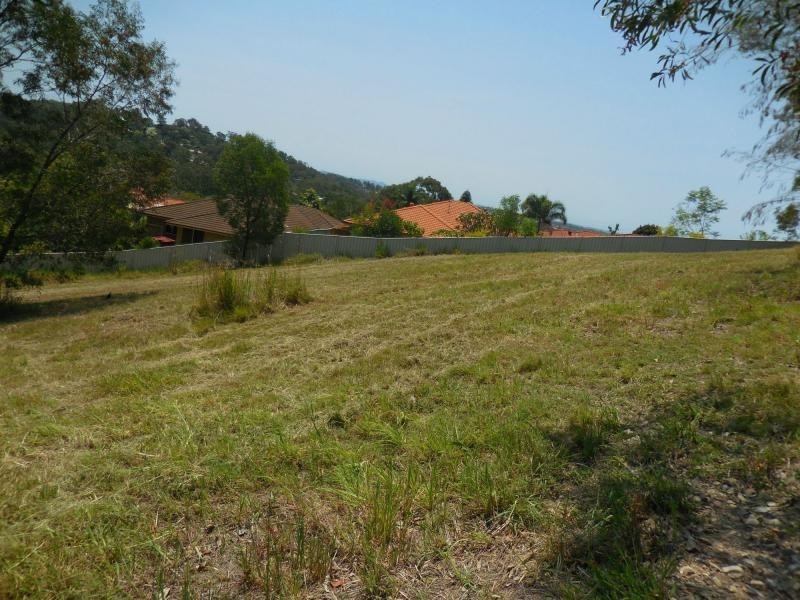 14 Coffeebush Court, Reedy Creek QLD 4227