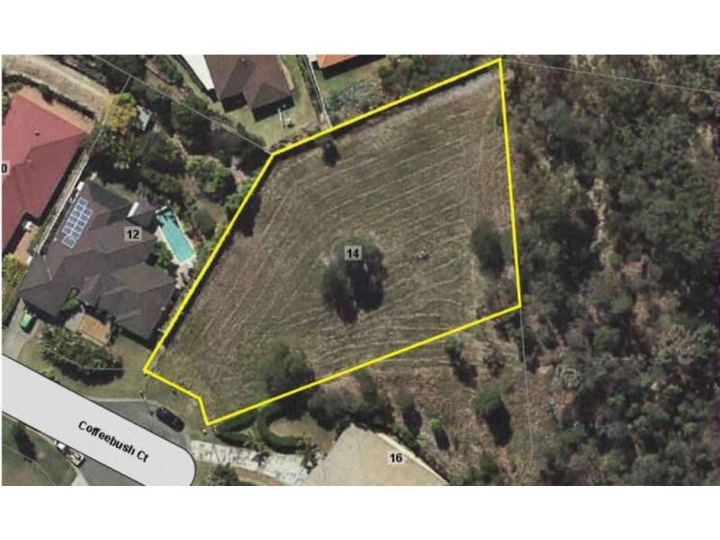 14 Coffeebush Court, Reedy Creek QLD 4227