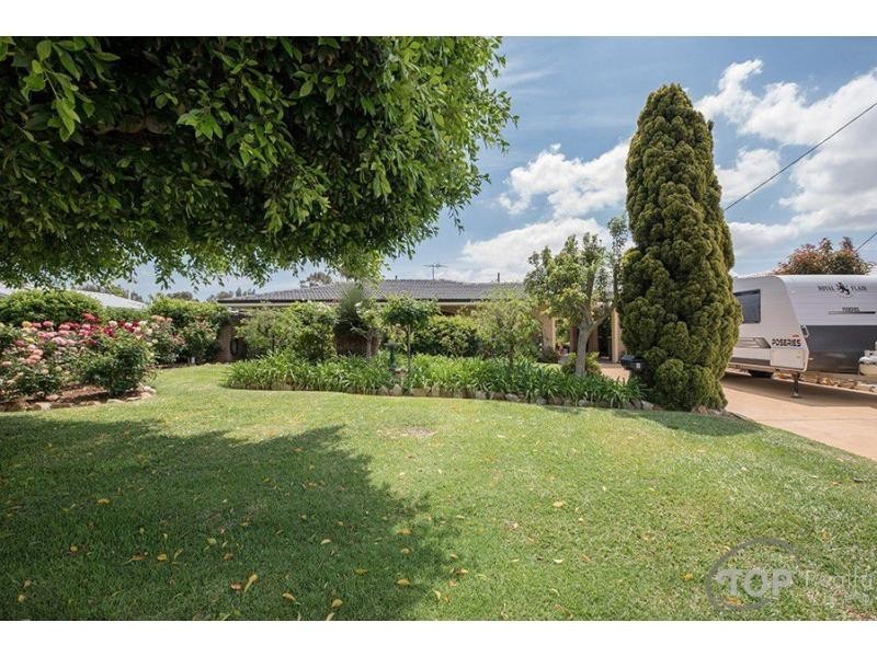 6 Damepattie Drive, Willetton WA 6155