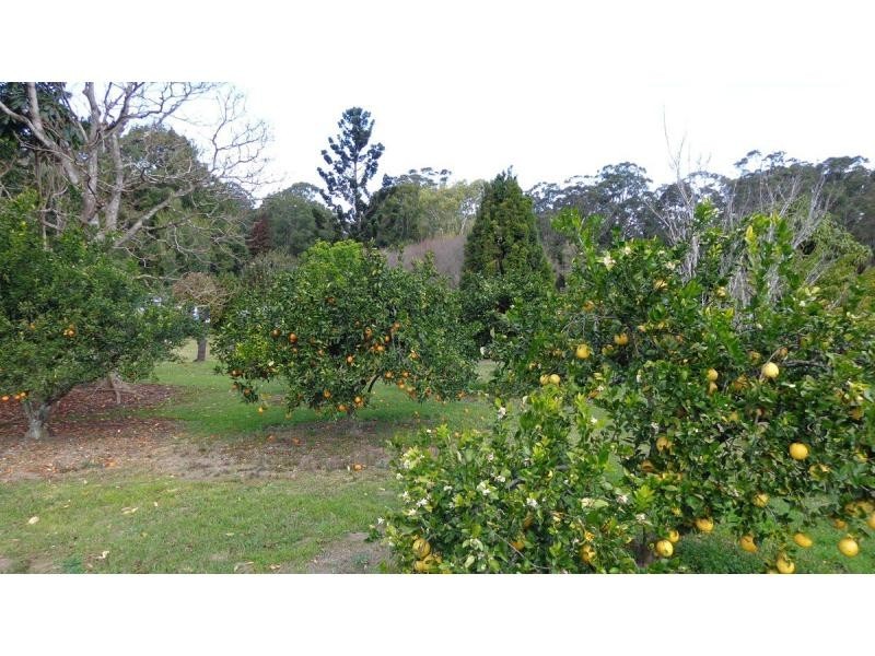 Bonville NSW 2441