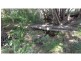 Lot 2 Gillards Road, Bucca NSW 2450