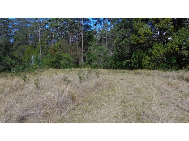 Lot 2 Gillards Road, Bucca NSW 2450