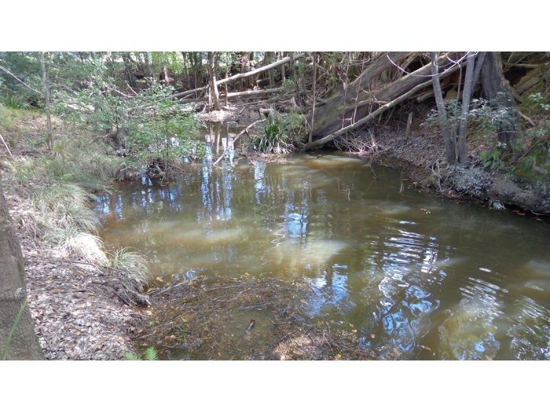 Lot 2 Gillards Road, Bucca NSW 2450