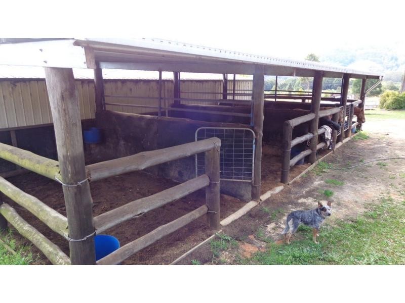 Lot 2 Gillards Road, Bucca NSW 2450