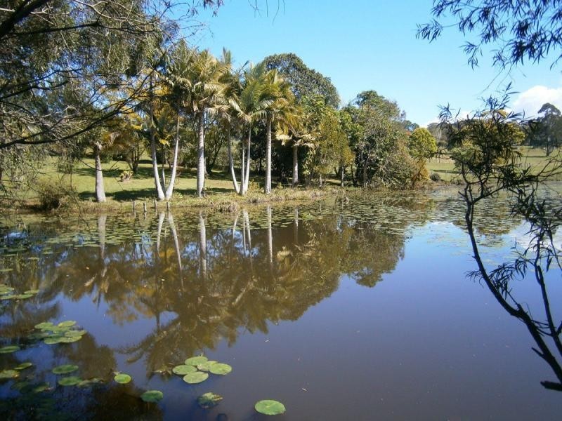 99 Gleniffer Road, Bonville NSW 2441