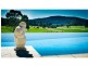 303 Slingsbys Road, Dorrigo NSW 2453