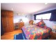 303 Slingsbys Road, Dorrigo NSW 2453