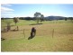 303 Slingsbys Road, Dorrigo NSW 2453
