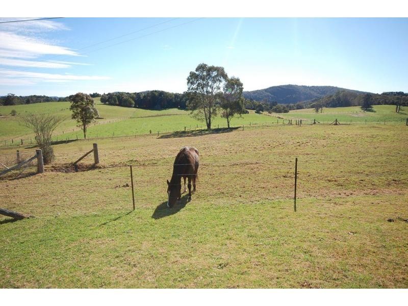 303 Slingsbys Road, Dorrigo NSW 2453