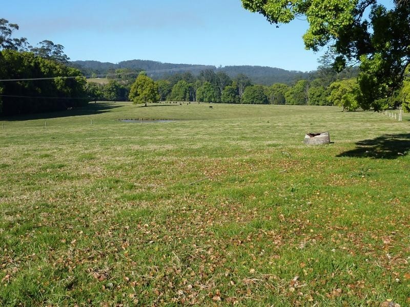 Bucca NSW 2450