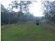 Tamban NSW 2441