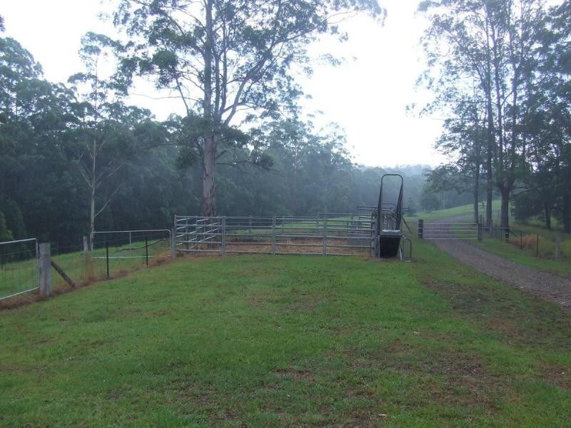 Tamban NSW 2441