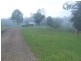 Tamban NSW 2441