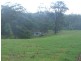 Tamban NSW 2441
