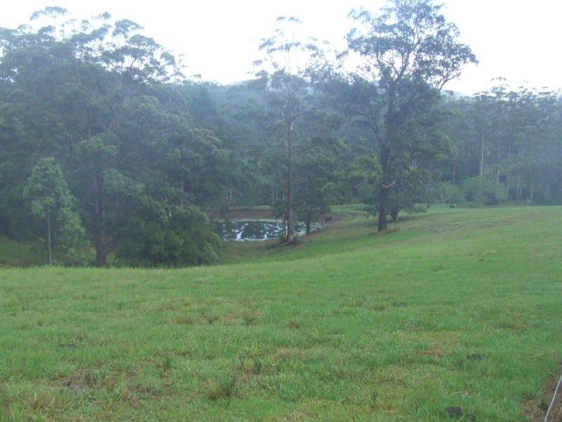 Tamban NSW 2441