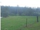 Tamban NSW 2441