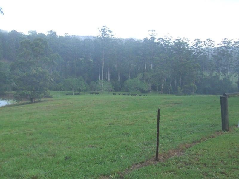 Tamban NSW 2441