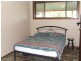 Tamban NSW 2441