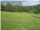 Tamban NSW 2441