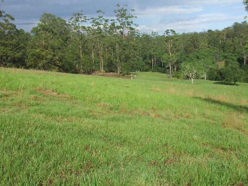 Tamban NSW 2441