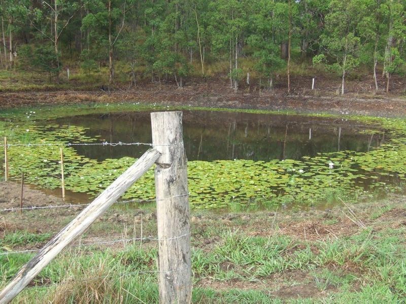 Tamban NSW 2441