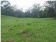 Tamban NSW 2441