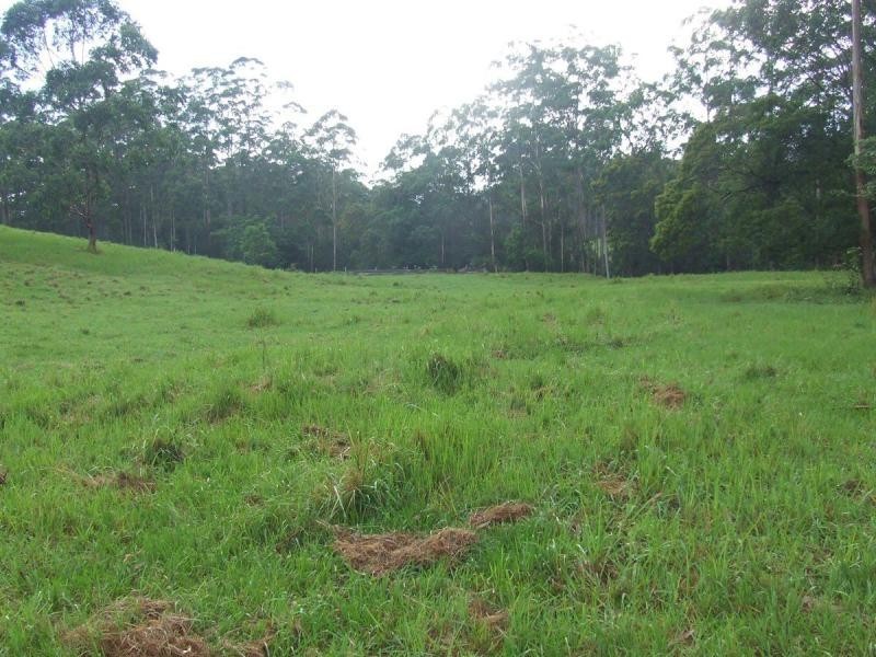 Tamban NSW 2441