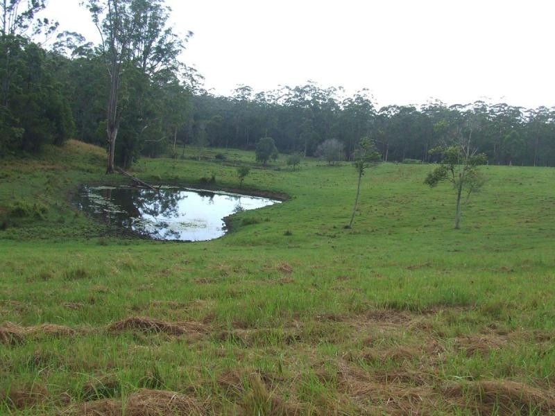 Tamban NSW 2441