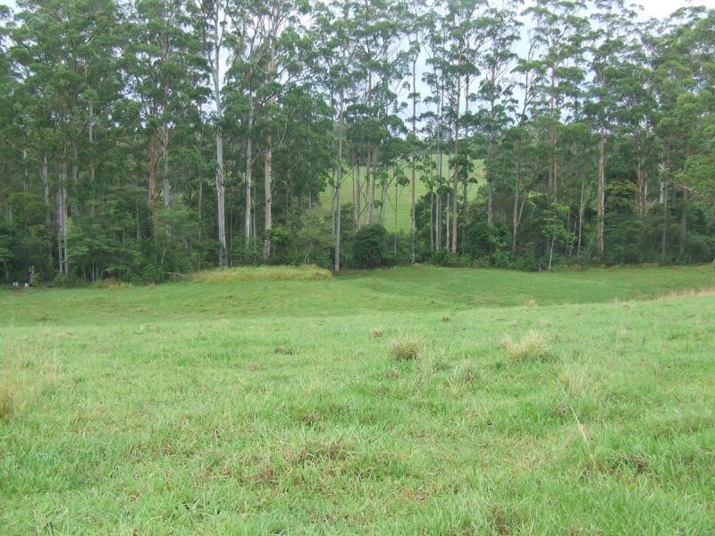 Tamban NSW 2441
