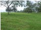 Tamban NSW 2441