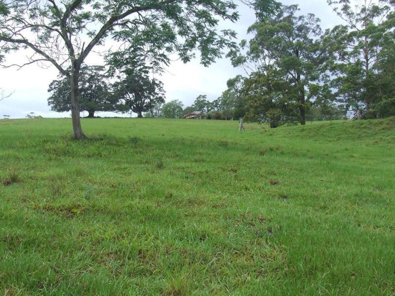Tamban NSW 2441
