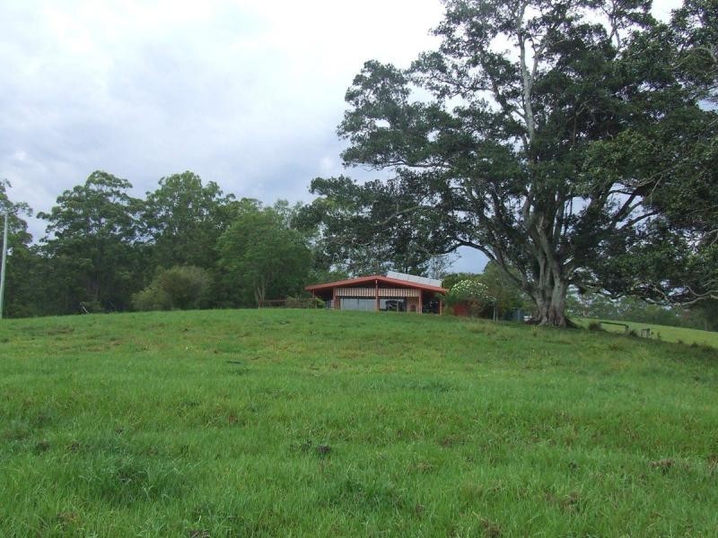 Tamban NSW 2441