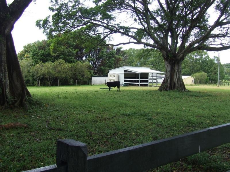 208 North Bonville Road, Bonville NSW 2441