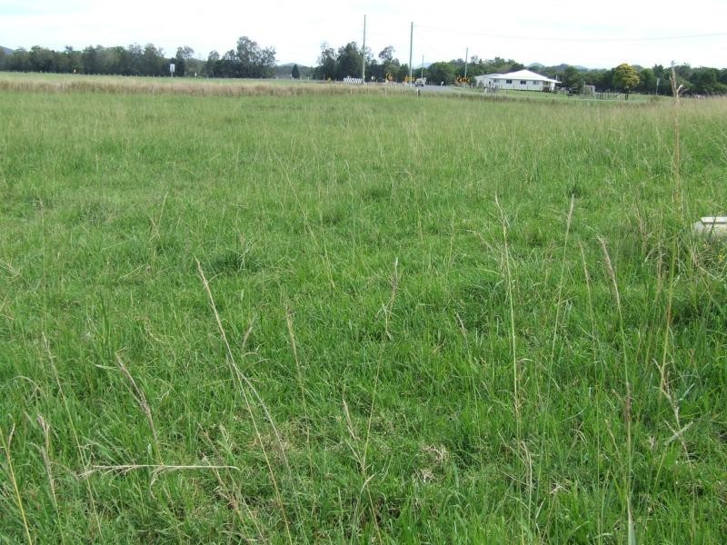 99 Sturdee Street, Macksville NSW 2447