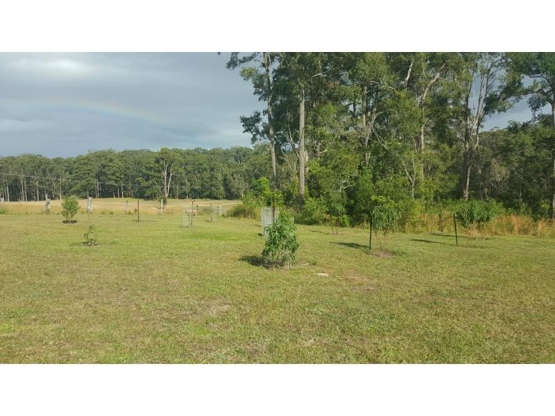 137 Pearl Circuit, Valla NSW 2448