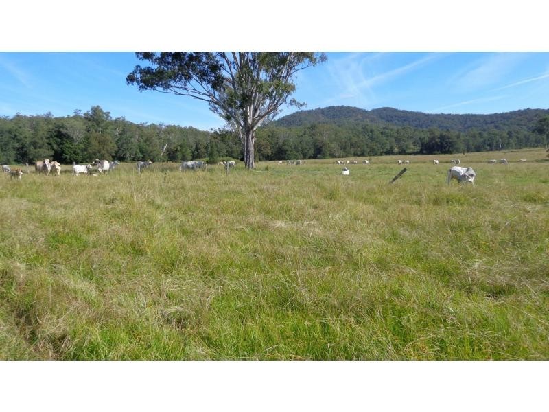 Fine Flower NSW 2460