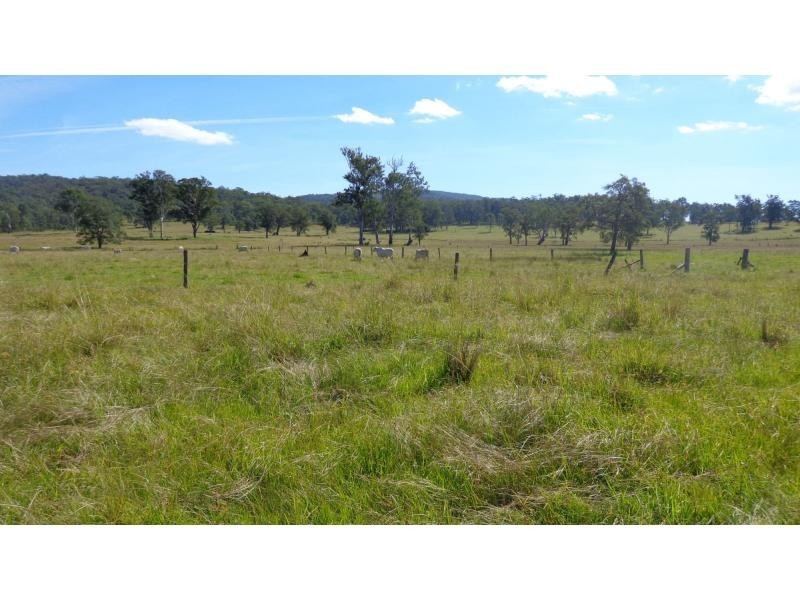 Fine Flower NSW 2460