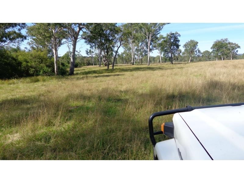 Fine Flower NSW 2460