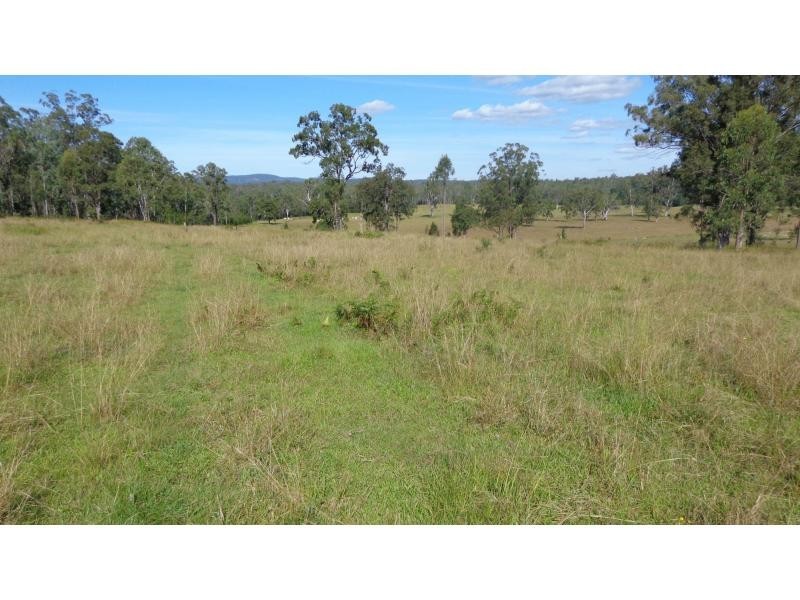 Fine Flower NSW 2460