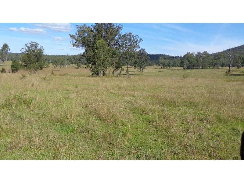 Fine Flower NSW 2460