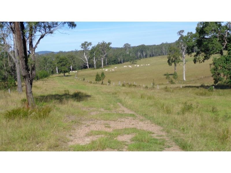 Fine Flower NSW 2460