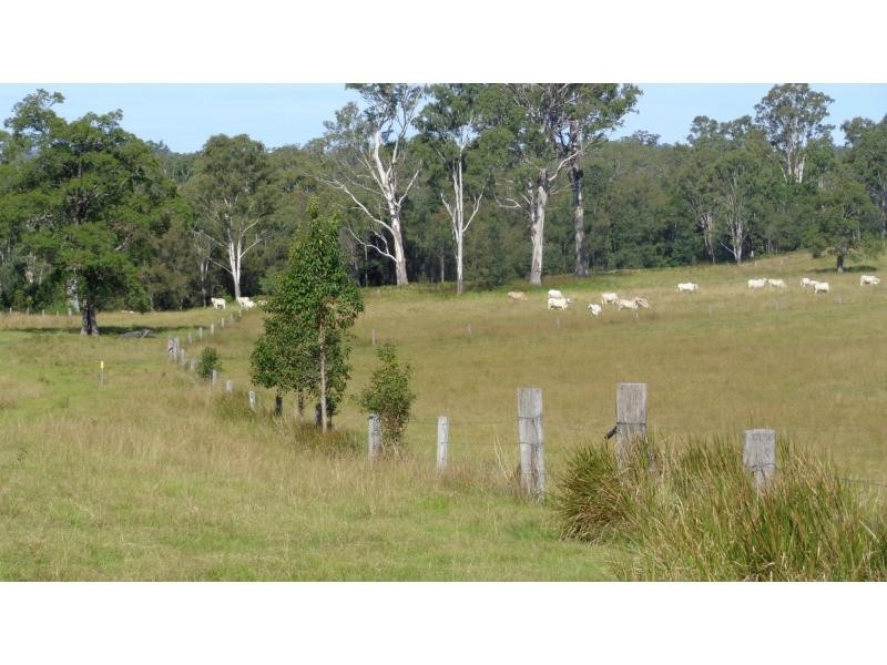 Fine Flower NSW 2460