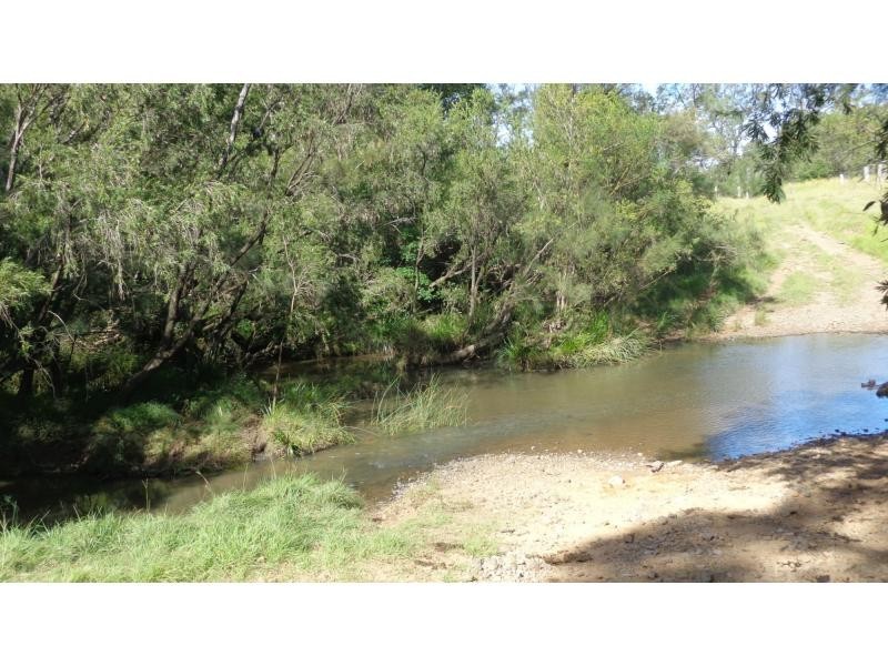 Fine Flower NSW 2460