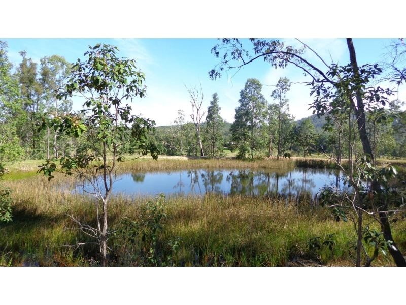 Fine Flower NSW 2460