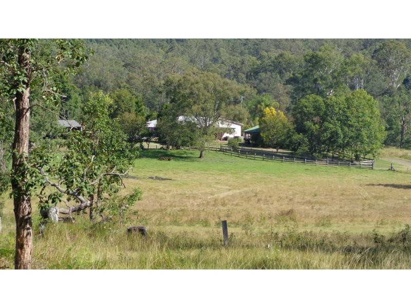 Fine Flower NSW 2460