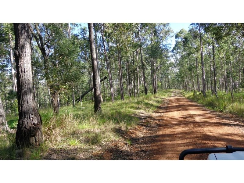 Fine Flower NSW 2460