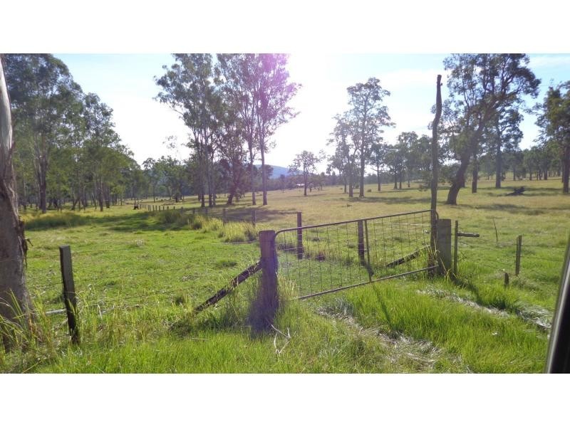 Fine Flower NSW 2460