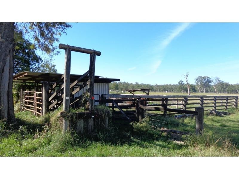 Fine Flower NSW 2460