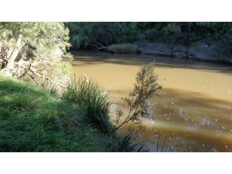 Fine Flower NSW 2460