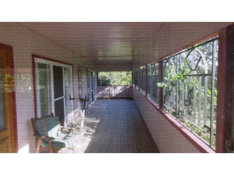 Fine Flower NSW 2460